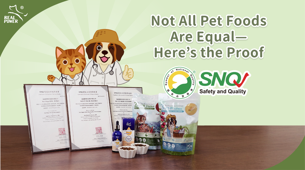 What is SNQ?