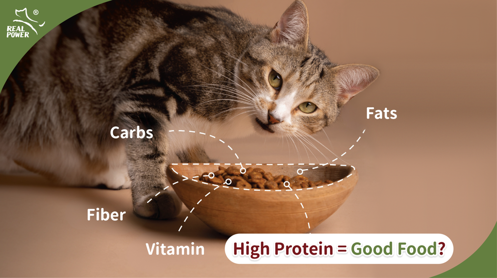 Pet Food Myth Busters #1: Is high protein always the best?