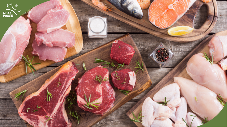 Pet Food Myth Busters #2: Why high proportion of fresh meat?