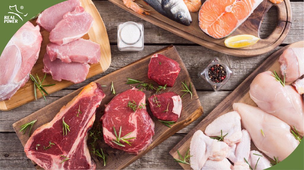 Pet Food Myth Busters #2: Why high proportion of fresh meat?