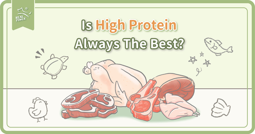 Mitos makanan haiwan #1: Adakah protein tinggi selalu yang terbaik?
