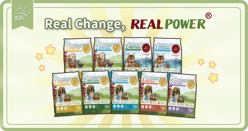 Berubah Dengan REAL POWER