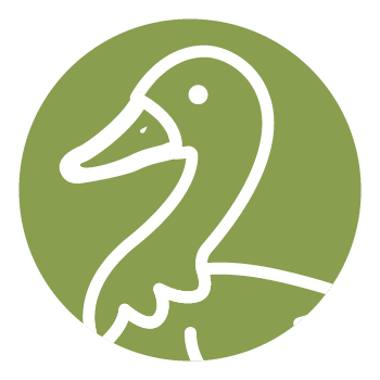 Free-range <br>Taiwanese Duck