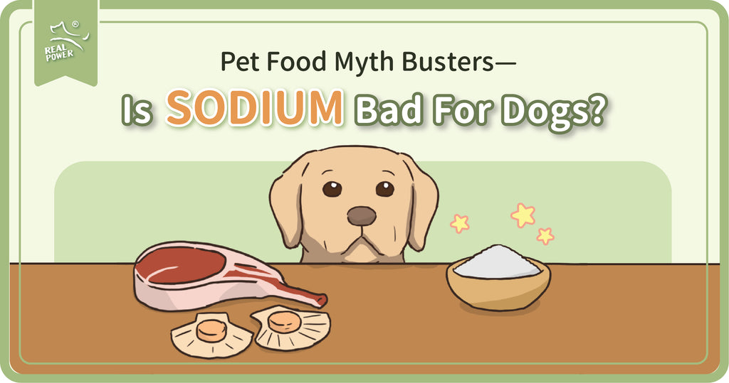 Những trò đùa thần thoại về thức ăn cho thú cưng - SODIUM có hại cho chó không?