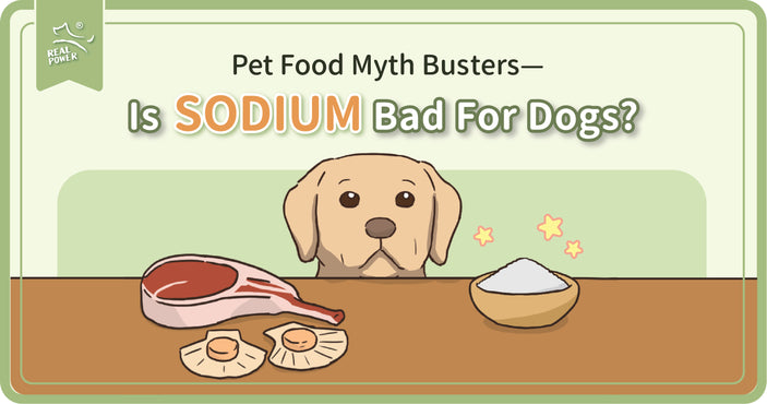 Pet food myth busters – is SODIUM bad for dogs?