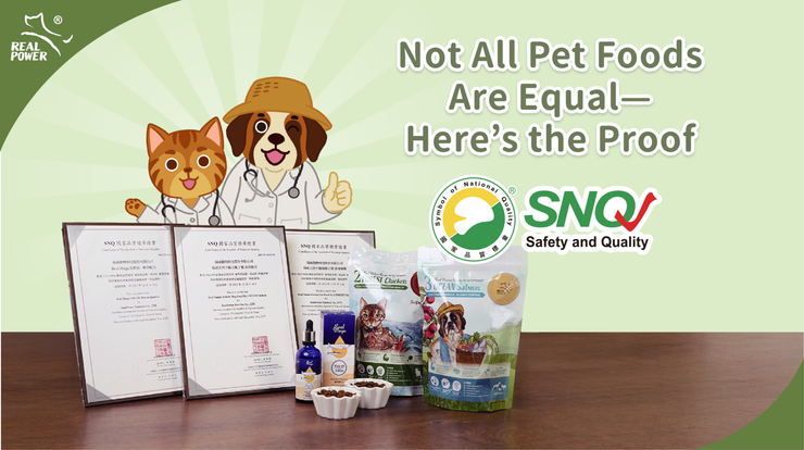What is SNQ?