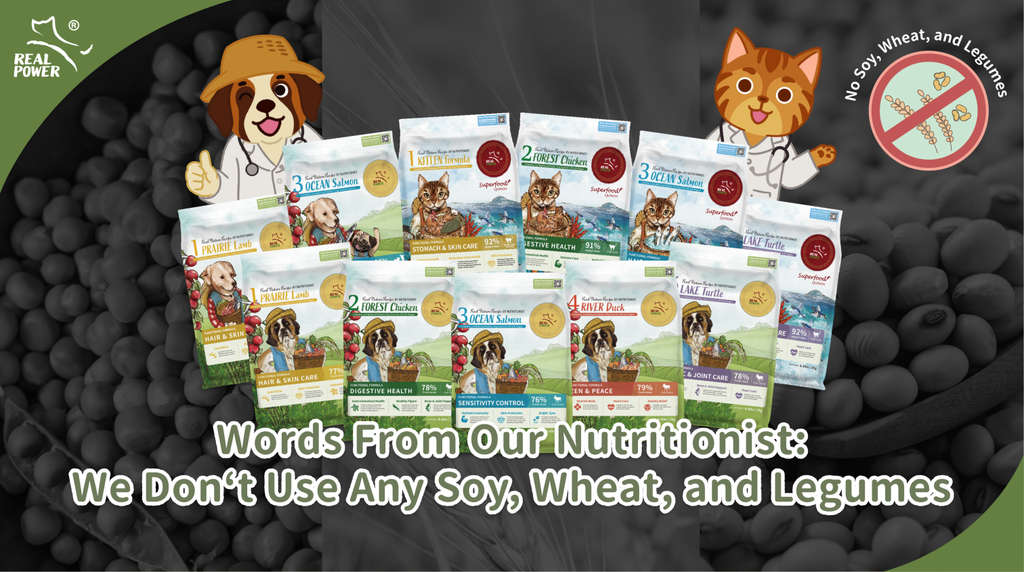 Reasons Behind No Soy, Wheat, or Legumes