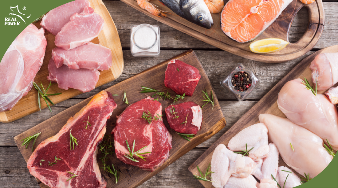 Pet Food Myth Busters #2: Why high proportion of fresh meat?