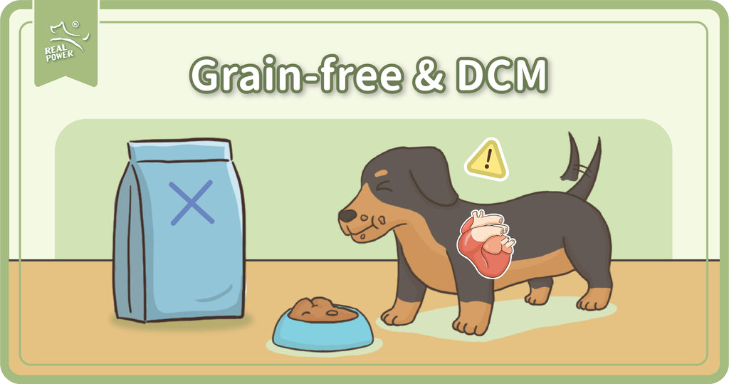 Nutritionist’s Words on Grain-free & DCM