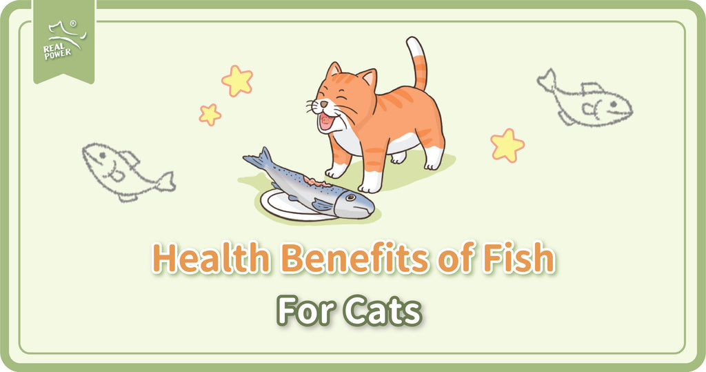 Lợi ích sức khỏe mà cá mang lại cho mèo