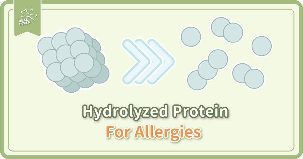 Protein thủy phân là giải pháp chính cho bệnh dị ứng