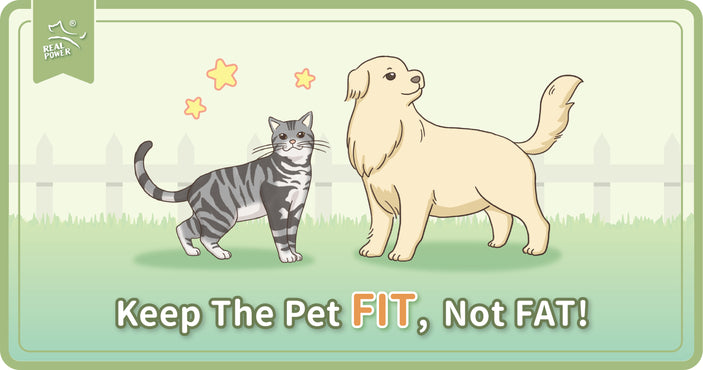 Keep the pet FIT, Not Fat!