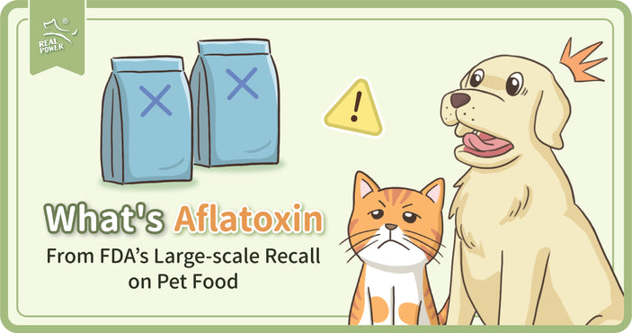 Learn More About Aflatoxin from the FDA’s Large-Scale Recall on Pet Food