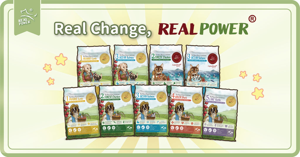 Make A Change With REAL POWER