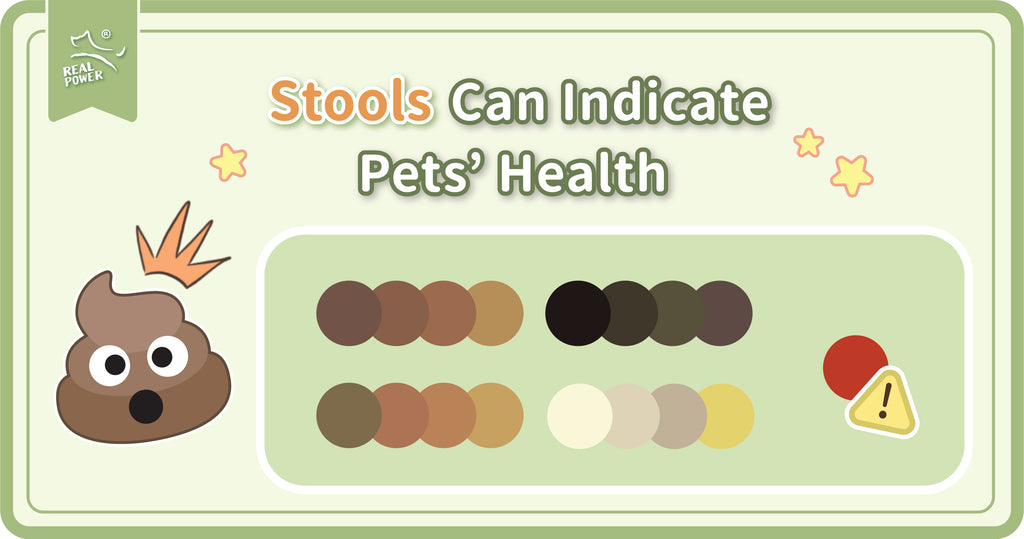 Stools can indicate pets’ health