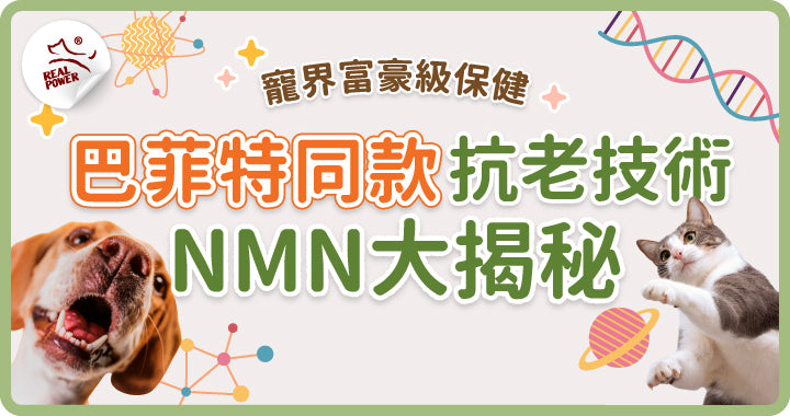 What Is NMN? The Anti-Ageing Molecule Behind the Buzz — Explained for Pets