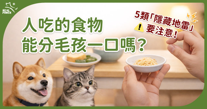 What Dogs and Cats Can't Eat: A Sharing Guide to 5 Everyday Food Traps