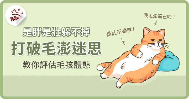 Vet's Note: Fat or Fit? Don't Let the Fluff Fool You