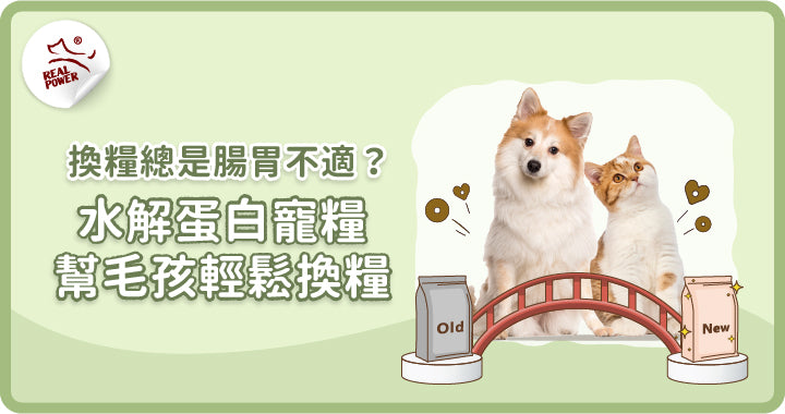 The Secret to Easy Food Transitions: Hydrolysed-Protein Pet Food