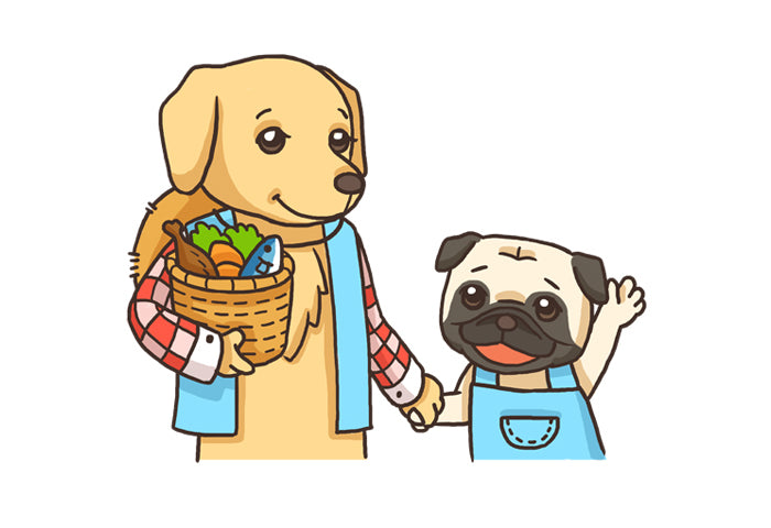 4 Simple Checks for a Healthy Puppy