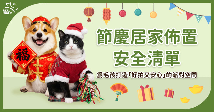 Christmas & Lunar New Year Décor Safety Checklist: 3 Ways to a Photo-Ready, Pet-Safe Party Space