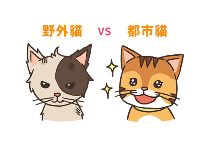 City Cats vs. Wild Cats: Very Different Lifestyles