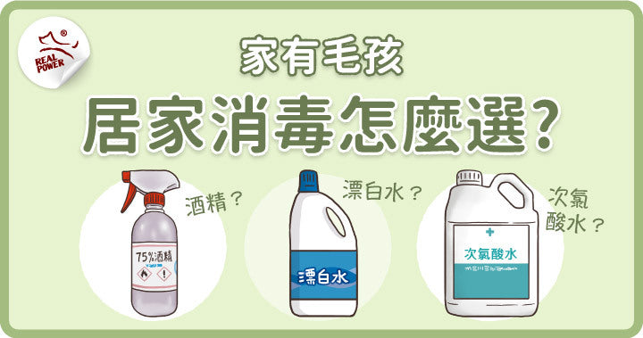 Choosing a Household Disinfectant When You Live With Pets