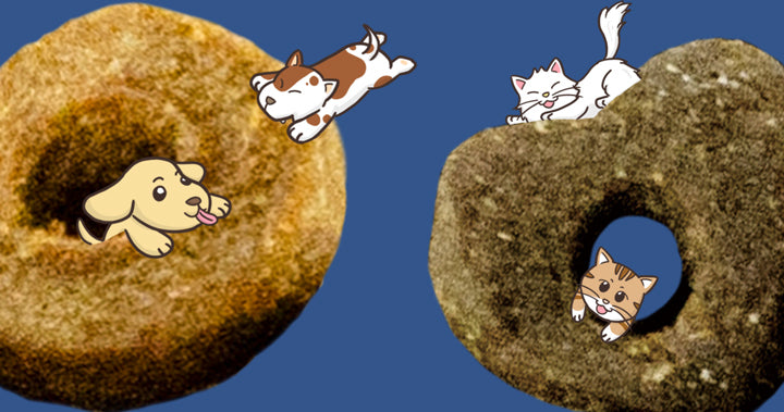 Why Is Real Power Kibble Hollow?