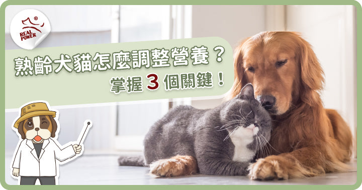 Vet's Note: Adjusting Nutrition for Senior Pets? Check This First