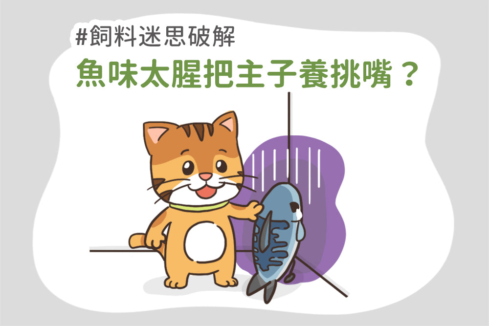 Myth-Busting: Does Fishy Cat Food Make Cats Picky Eaters?